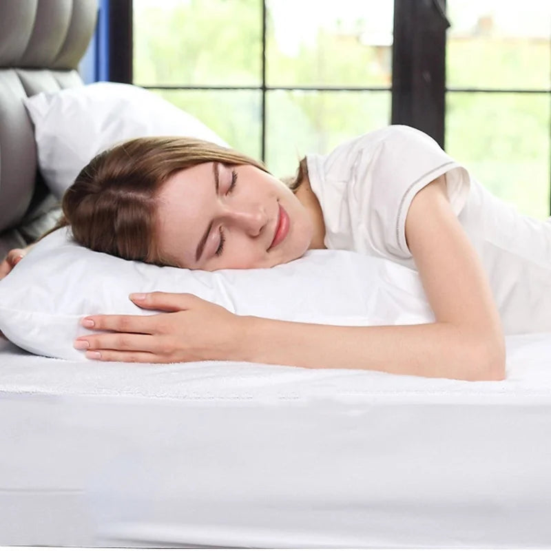 Bed Bug Proof Pillowcase