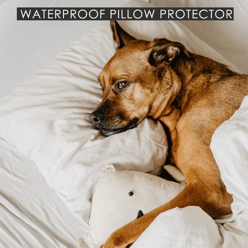 Bed Bug Proof Pillowcase