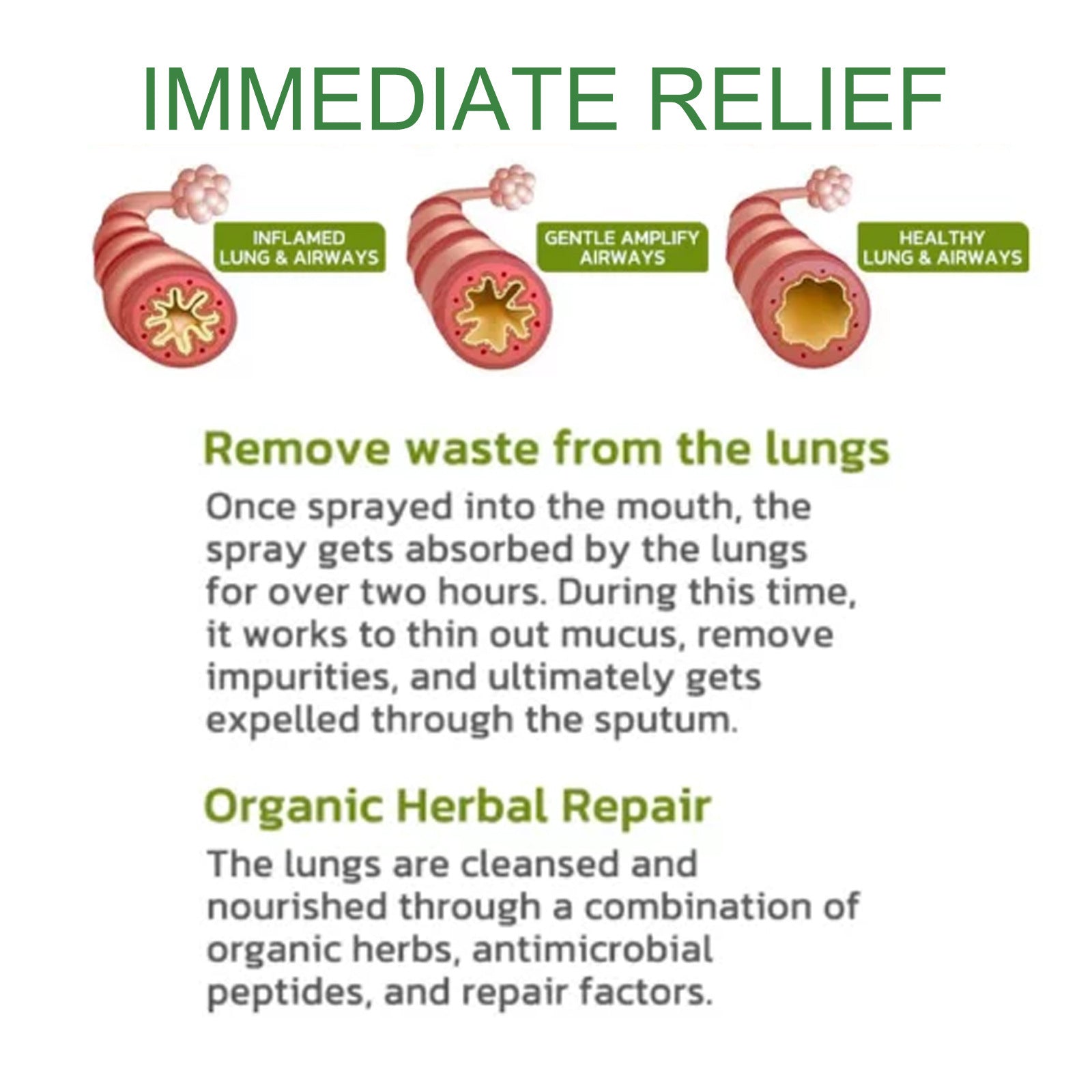 Herbal Lung Detox Relief Spray