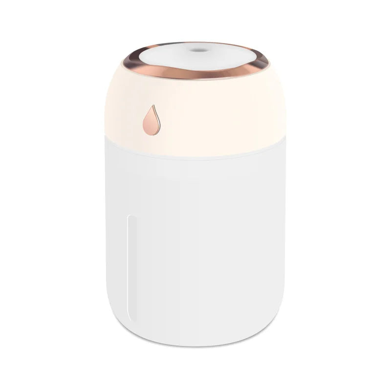 Portable Aroma Diffuser Humidifier